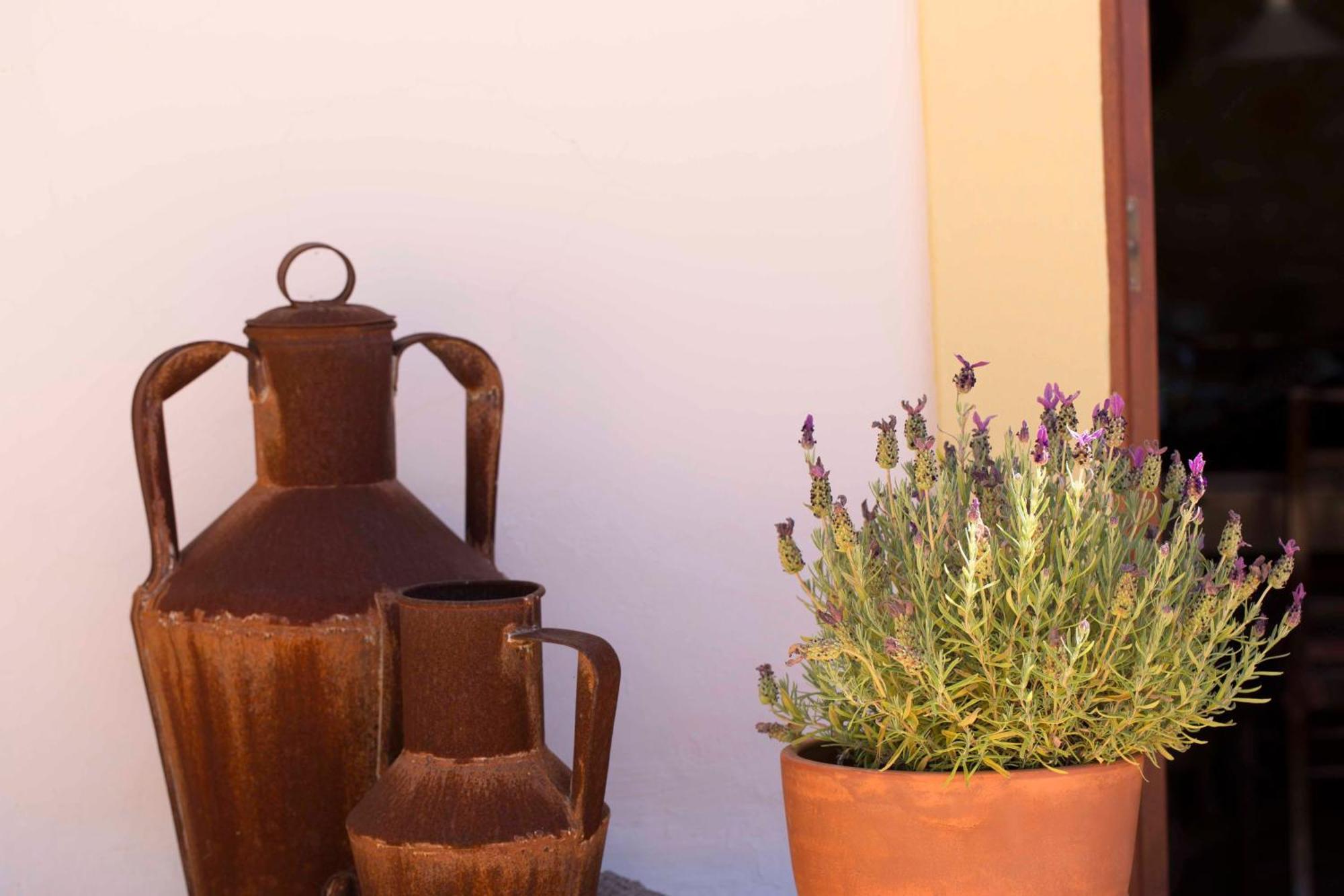 B&B Candelaria Corregos de Monte Seco Экстерьер фото